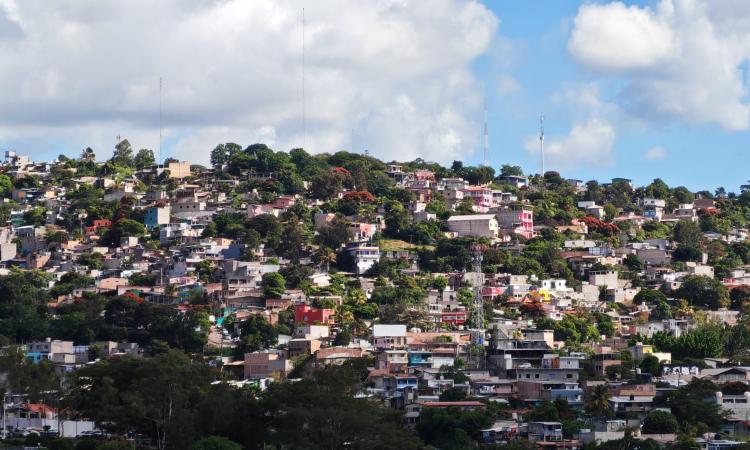UNAH consultará hasta 20,000 hogares para conocer la realidad económica de las familias hondureñas