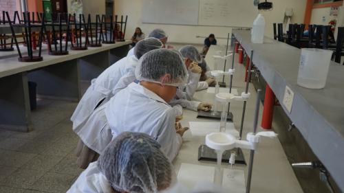 500450909 1022494503319219 5507033652691836447 n