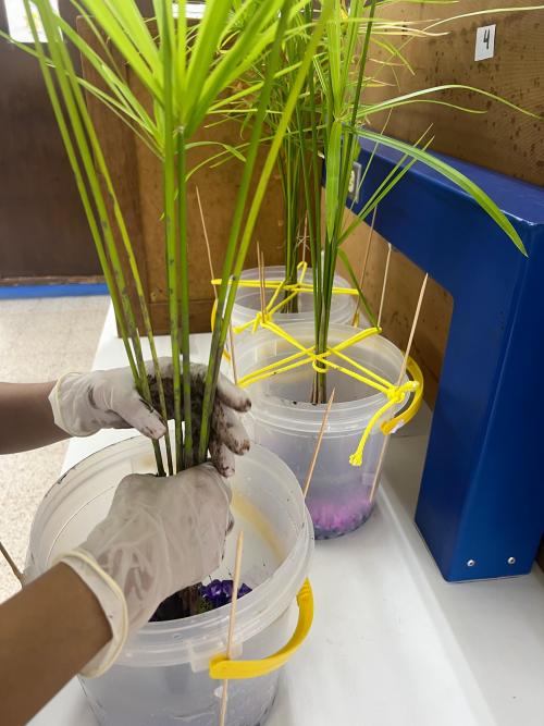 588547742 1170513291850672 6604211946362964294 n