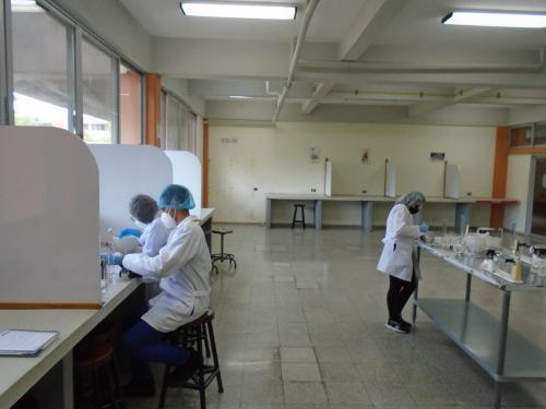 590160740 1170520098516658 4663200310617191535 n