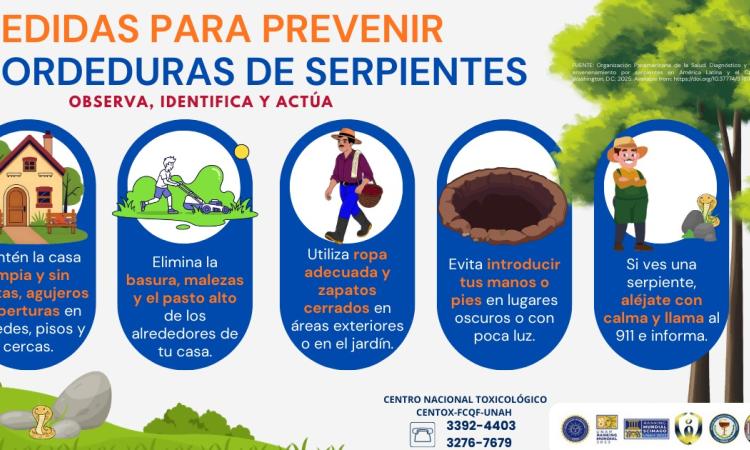 Centox advierte el peligro por morduras de serpientes. 