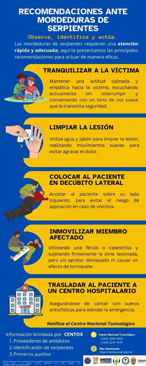 622829483 1216244820610852 3160632762176685729 n