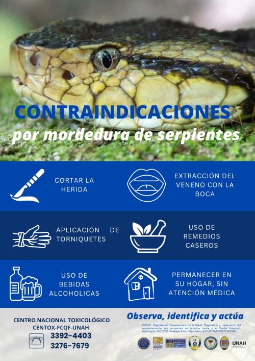 622905392 1216244823944185 4716175679523094742 n