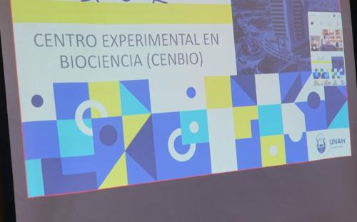 636378573 1234271385474862 1332161619174286713 n