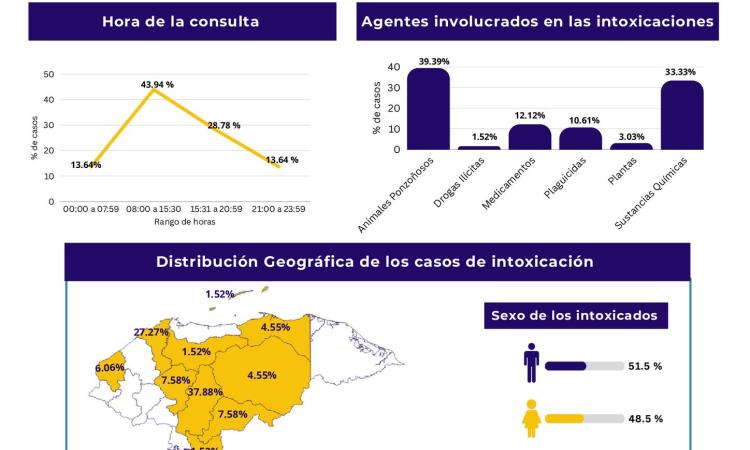 Nuevo Publicación del Blog