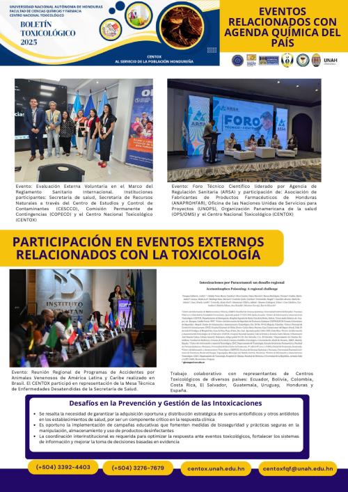 630999352 1228598876042113 6355518265696276986 n