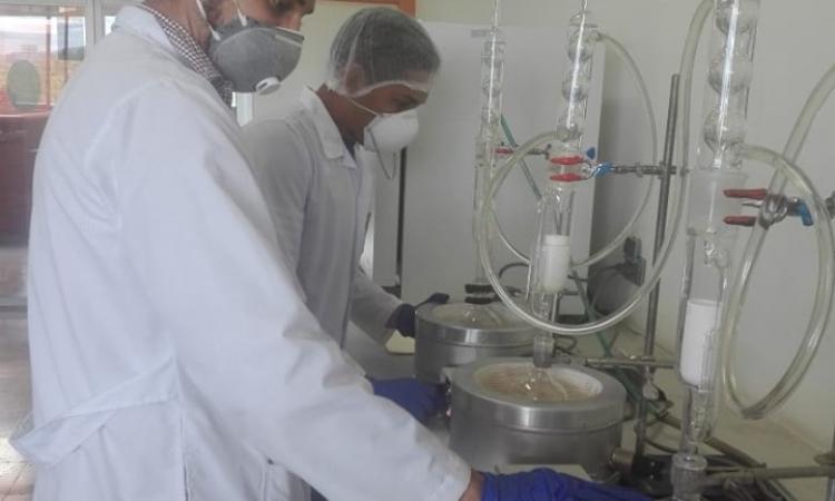 Grupo de Investigación de Productos Naturales realiza análisis de extracción de aceites vegetales. 