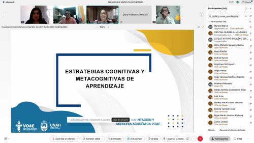 2. Webinar