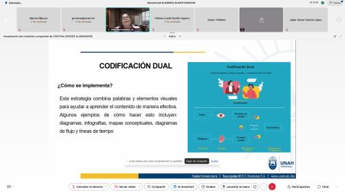3. Webinar