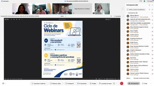 5. Webinar