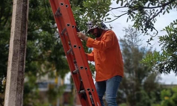 Hondutel retira cableado telefónico en Ciudad Universitaria