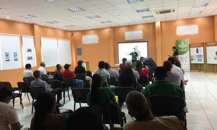 UNAH Campus El Paraíso participó en el Encuentro de Mesas Agroclimáticas y Red Comunitaria de Pluviómetros de la Región Oriente de Honduras