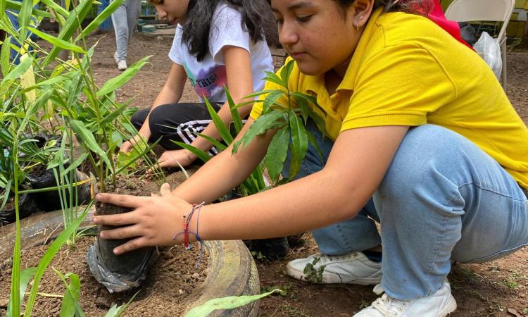 La Facultad de Humanidades y Artes y el Centro Educativo Experimental UNAH realizan jornada de plantación