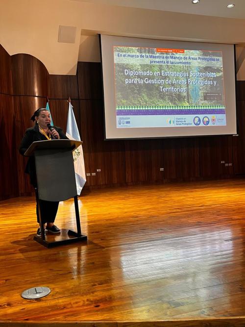 513937532 1559670481719036 8582221242229164370 n2