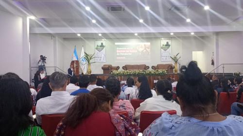 520160683 1578909333128484 5351155542297159104 n